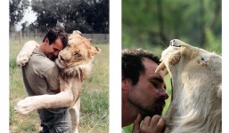 Người đàn ông 15 năm sống chung với sư tử hung dữ 
