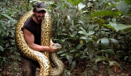 Tự nguyện cho trăn khổng lồ nuốt chửng vào bụng để quay phim
