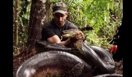 Dân mạng xót thương con trăn nuốt sống người