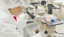 Thanh tra Chính phủ tập trung thanh tra về nhập khẩu thiết bị y tế