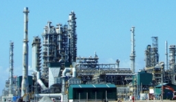 Nhiều doanh nghiệp hoạt động không có doanh thu