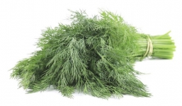 Top 7 lợi ích sức khỏe của rau thì là