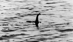Thêm ảnh lộ đầu quái vật hồ Loch Ness?