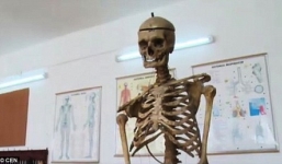 Hiệu trưởng dạy sinh học