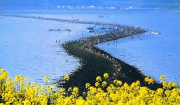 Bí ẩn hiện tượng 'biển tách làm đôi' ở Hàn Quốc