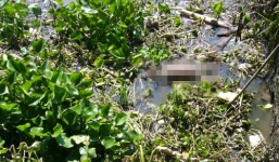 Đang câu cá, phát hiện xác chết trôi sông đội mũ bảo hiểm