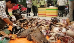 Còn 6 ngành, nghề bị cấm đầu tư, kinh doanh