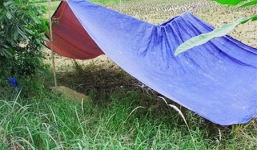 Điều tra nguyên nhân người đàn ông tử vong bên bờ ruộng