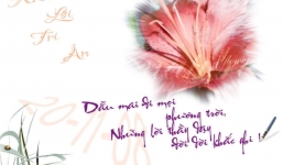 Lời chúc ý nghĩa ngày 20/11 dành cho thầy cô giáo