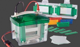 Nghi án hối lộ 2,2 triệu USD: 6 công ty nhập thiết bị Bio-Rad