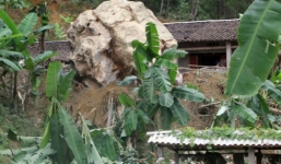 Nguyên nhân vụ sạt lở núi trong đêm, 7 người thoát chết thần kỳ