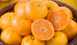 Những tác dụng tuyệt vời từ vỏ quýt