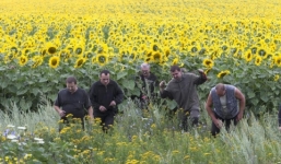 Video Hà Lan phát hiện thêm thi thể nạn nhân vụ rơi máy bay MH17 