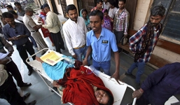 Cảnh báo: Thuốc triệt sản chứa độc chất diệt chuột