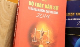 Sách luật in hình DV Công Lý: Nhiều người hỏi mua vì ... tò mò