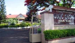 Công ty nhà Cường đô la khởi kiện khách hàng