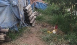 Cháu sát hại bác rồi về kể cho mọi người nghe