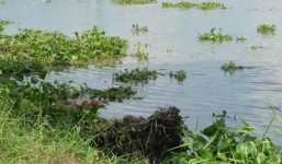 Bé sơ sinh bị thả trôi sông cùng 1 bình sữa ấm