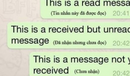 Ly hôn vì vợ đọc tin nhắn nhưng không trả lời
