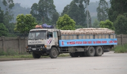 Video bắt nhóm bảo vệ trộm cắp tài sản nhà máy xi măng Ninh Bình