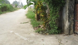 Phát hiện thi thể 2 trẻ sơ sinh bị bỏ trước cổng chùa