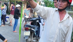 Rắn lục đuôi đỏ ở đâu ra mà nhiều thế?