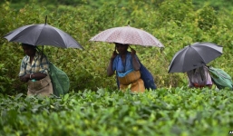 Chậm trả lương, ông chủ bị nhân công đánh đập, ném đá đến chết