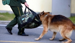 Cảm động tình cảm chú chó nghiệp vụ dành cho 'người thầy'