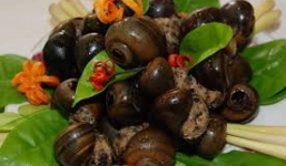 Sau khi ăn ốc biển, em tử vong, anh nguy kịch