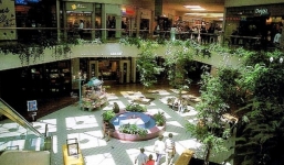 Đại gia Việt và những vụ “bán con” đình đám