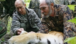 Xinhua: Hổ của ông Putin bị nghi ăn thịt dê Trung Quốc