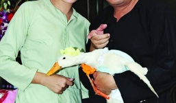 Tâm tít làm dâu trả nợ cho nhà giàu trong 'Tỉ phú chăn vịt'