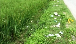 Đi nhậu cùng nhóm thanh niên, cô gái bị hãm hại