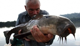 Cận cảnh bộ sưu tập 'thủy quái' khổng lồ ăn thịt người