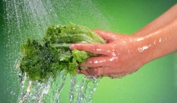 Mẹo rửa sạch mọi loại rau đúng cách và sai lầm khi rửa rau