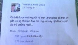 Xác định danh tính nam thanh niên tung tin đồn về rắn lục đuôi đỏ