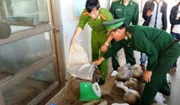 Bản tin 113 – sáng 28/11: Hàng chục kg động vật hoang dã trong xe khách…