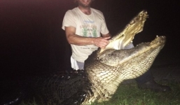 Ba chàng trai dùng mưu hạ gục cá sấu khổng lồ nặng hơn 326kg
