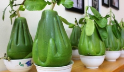 Bưởi 'bàn tay Phật', dưa hấu 'thỏi vàng'... có nên cúng Tết?