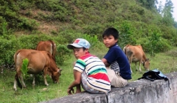 Vụ 600 HS nghỉ học: “Tháng 12 phải giải quyết xong”