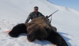 Săn gấu khổng lồ được hợp pháp hoá ở Alaska