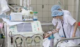 Rắn lục đuôi đỏ tấn công người dân ở Hà Nội, Quảng Ninh