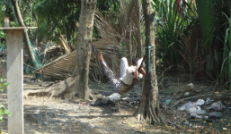 Thực hư chuyện 6 cha con đánh ghen “người tình” của mẹ