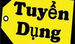 Netlink tuyển dụng nhân viên SEO tại Hà Nội và TP Hồ Chí Minh