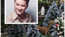 Đàm Vĩnh Hưng khoe vườn Giáng Sinh đẹp lung linh 