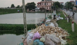 Giải mã bệnh trâu 'báo oán' ở làng 'đồ tể'