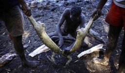 Cận cảnh buổi đi săn cá sấu nguy hiểm của bộ tộc Yolngu