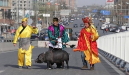 Thầy trò Đường Tăng dắt lợn đi dạo trên đường phố Bắc Kinh