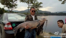 Bắt được cá chép 'khủng' 23kg to bằng một bé trai