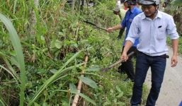 Bộ Y tế ban hành phác đồ điều trị rắn lục đuôi đỏ cắn